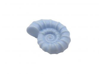 Schneckengehäuse Schneckengehäuse