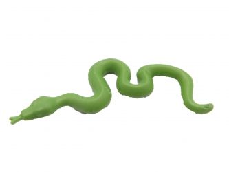 Schlange Viper Schlange Viper