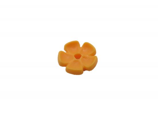 Blüte Blüte