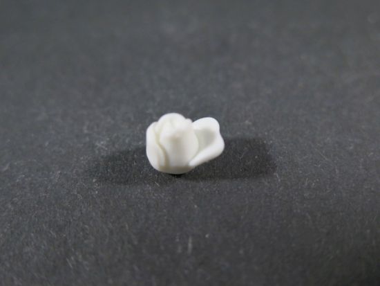 Rosenblüte geschlossen Rosenblüte geschlossen