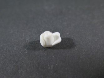 Rosenblüte geschlossen Rosenblüte geschlossen