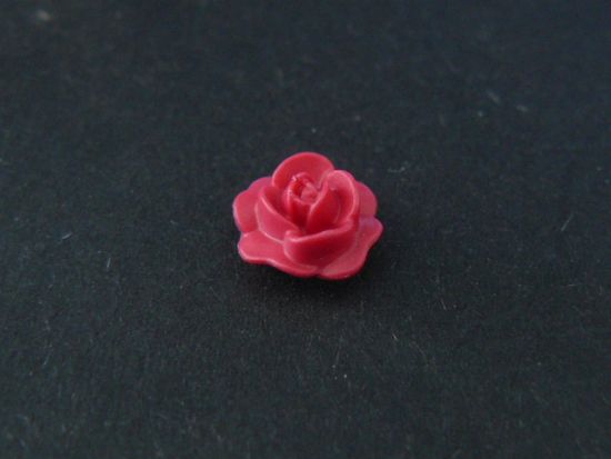 Rosenblüte Rosenblüte