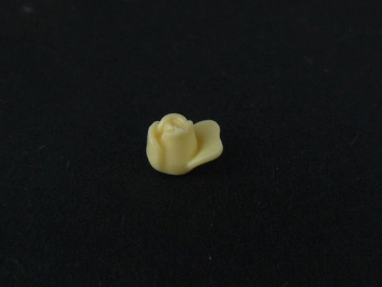 Rosenblüte Rosenblüte