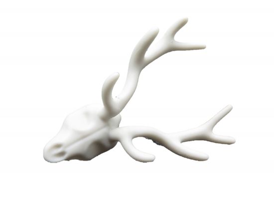 Geweih Hirschgeweih Geweih Hirschgeweih