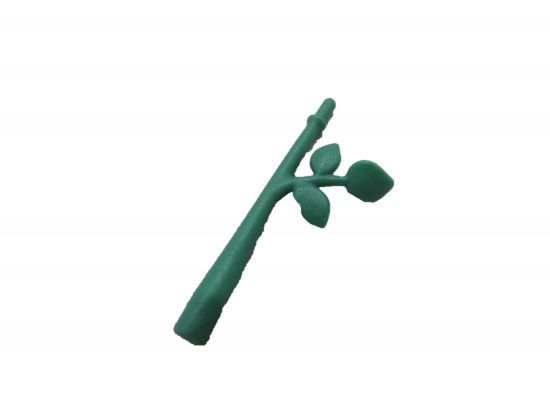 Rosenstiel Rosenstiel