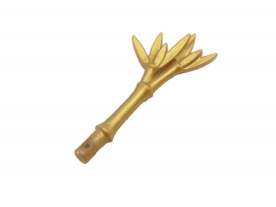 Pflanze Bambus Pflanze Bambus