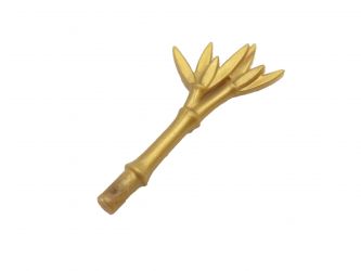 Pflanze Bambus Pflanze Bambus