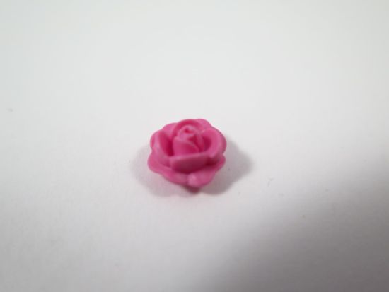 Rosenblüte Rosenblüte