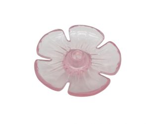 Blüte Elfe Standblüte Blüte Elfe Standblüte