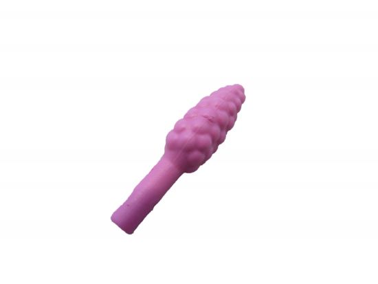 Blüte Pflanze Blüte Pflanze