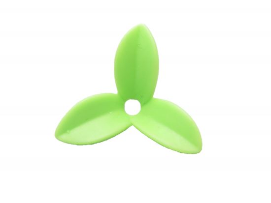 Pflanze Blätter Pflanze Blätter