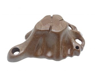 Baumstumpf Baumstumpf