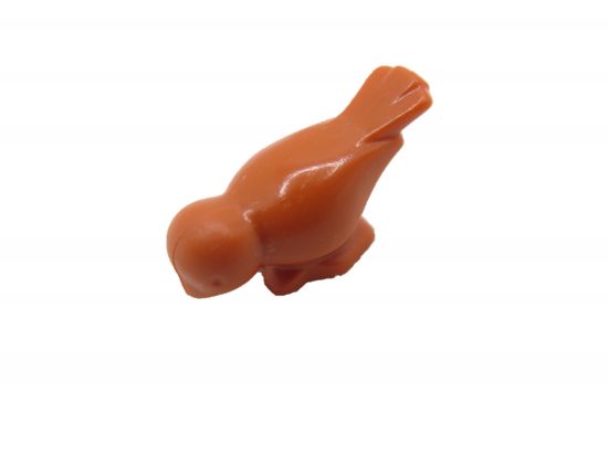 Vogel stehend Vogel stehend