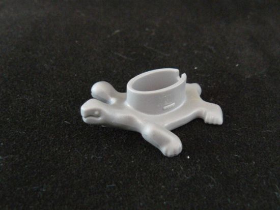 Schildkröte Schildkröte