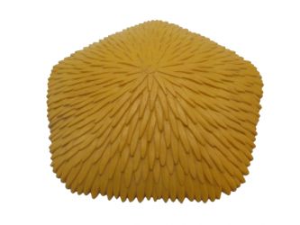 Strohdach Blätterdach Strohdach Blätterdach