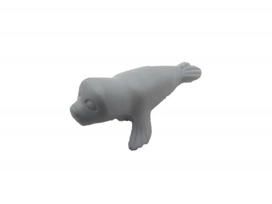 Robben Seehund Baby Robben Seehund Baby