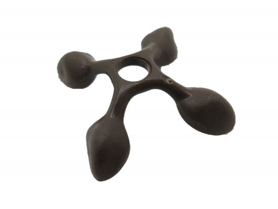 Kokosnuss Palme Kokosnuss Palme