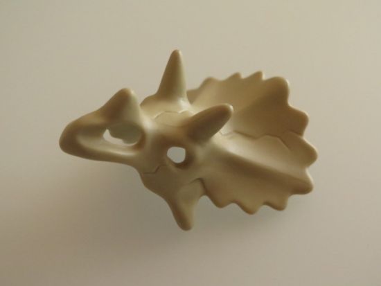 Dinosaurier Kopf Knochen Dinosaurier Kopf Knochen