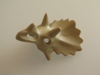 Dinosaurier Kopf Knochen Dinosaurier Kopf Knochen