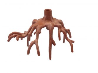 Baumstumpf Wurzeln Baumstumpf Wurzeln