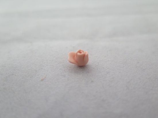 Rosenblüte Rosenblüte