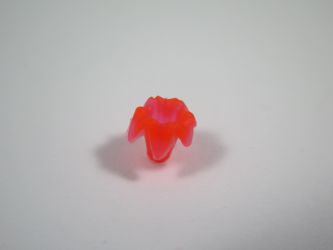 Lilienblüte Lilienblüte