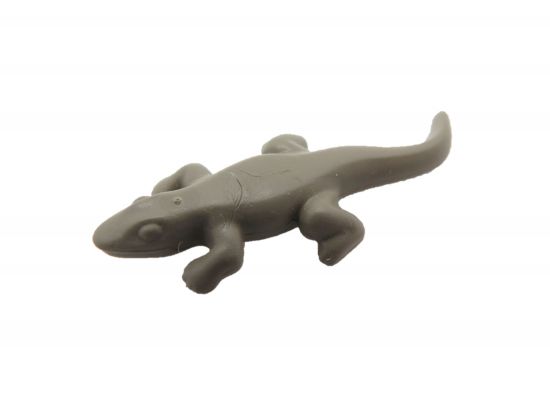 Eidechse Krokodil Baby Caiman Eidechse Krokodil Baby Caiman