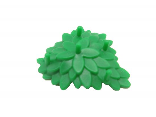 Strauch Gras Strauch Gras