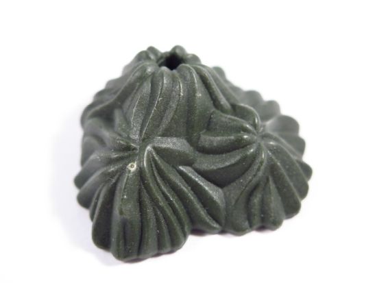 Seeanemone Seeanemone