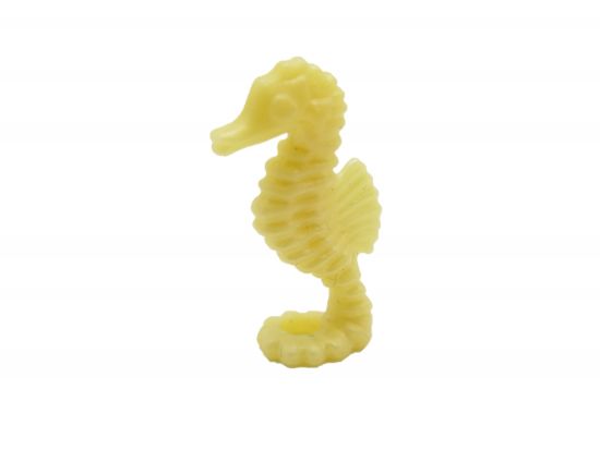 Seepferd Seepferdchen Seepferd Seepferdchen