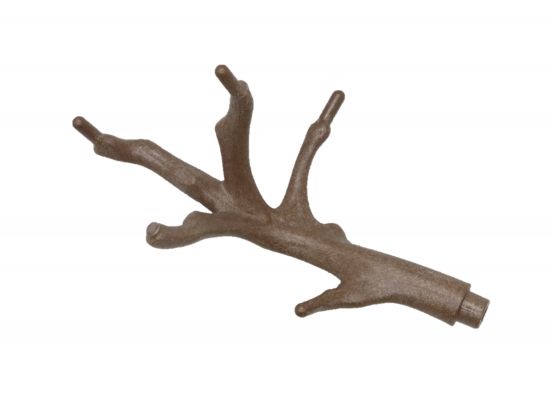 Ast, Geäst Ast, Geäst