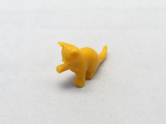 Katzenbaby sitzend Katzenbaby sitzend