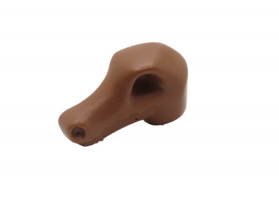 Skelett Kopf Dinosaurier Skelett Kopf Dinosaurier