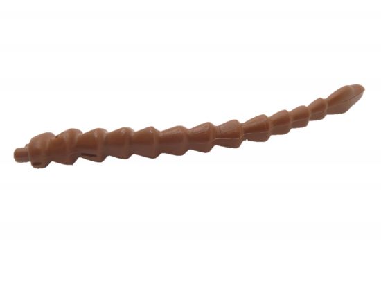 Skelett Schwanz Dinosaurier Skelett Schwanz Dinosaurier