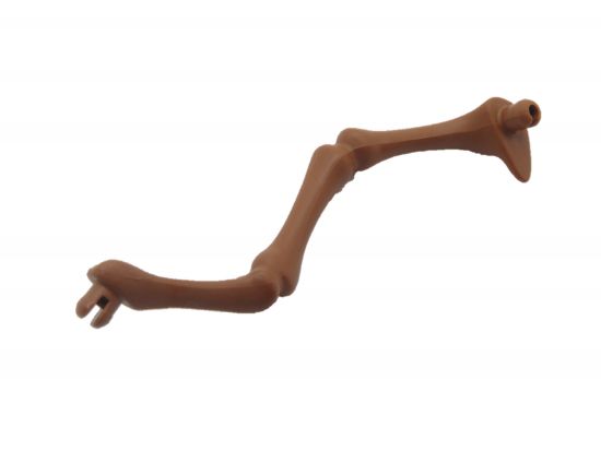 Skelett Bein Dinosaurier Skelett Bein Dinosaurier