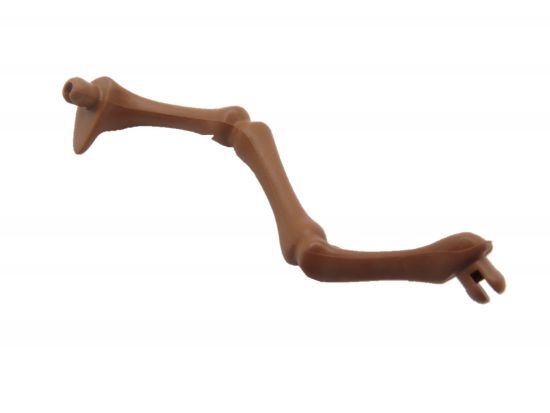 Skelett Bein Dinosaurier Skelett Bein Dinosaurier