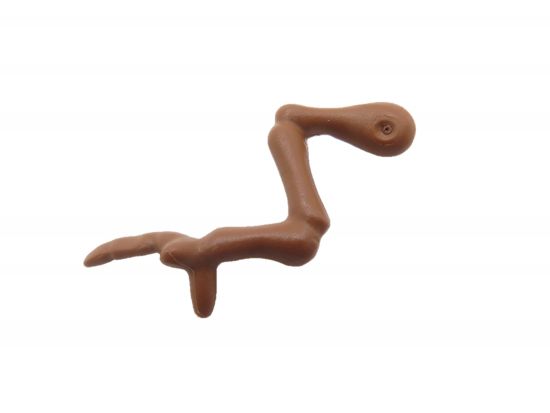 Skelett Arm Dinosaurier Skelett Arm Dinosaurier