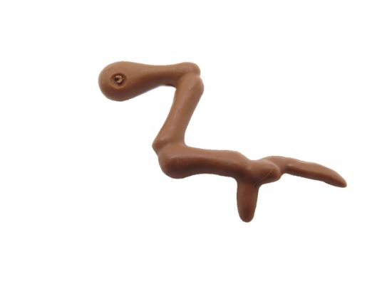 Skelett Arm Dinosaurier Skelett Arm Dinosaurier