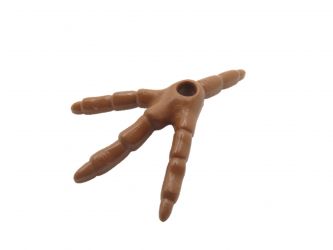 Skelett Fuss Dinosaurier Skelett Fuss Dinosaurier