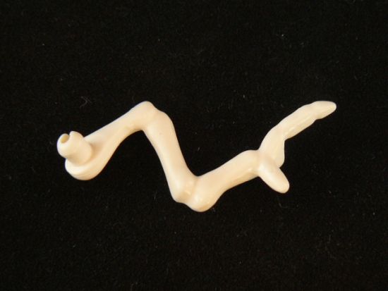 Armknochen Armknochen