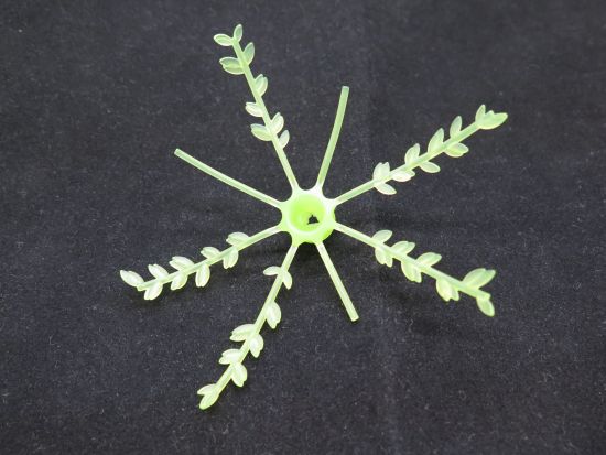 Blätter Baum Blätter Baum