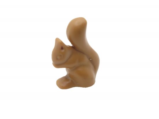 Eichhörnchen sitzend Eichhörnchen sitzend