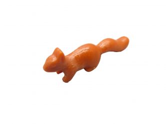 Eichhörnchen stehend Eichhörnchen stehend