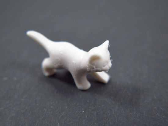 Katzenjunges stehend Katzenjunges stehend