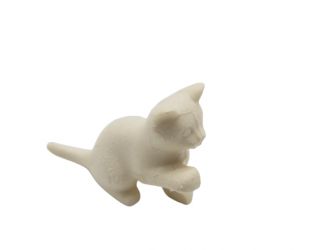 Katzenjunges sitzend Katzenjunges sitzend