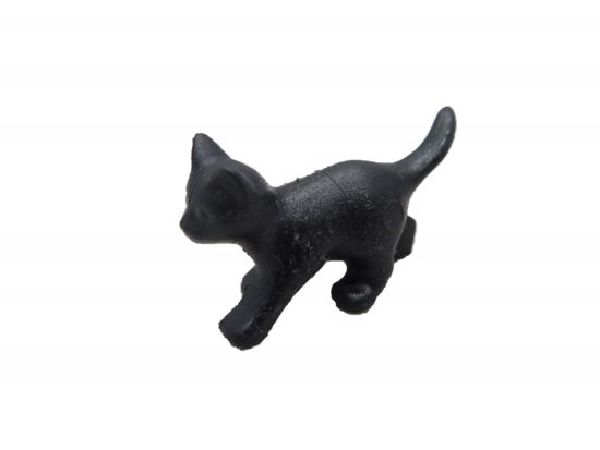 Katzenjunge Katzenjunge