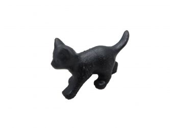 Katzenjunge Katzenjunge