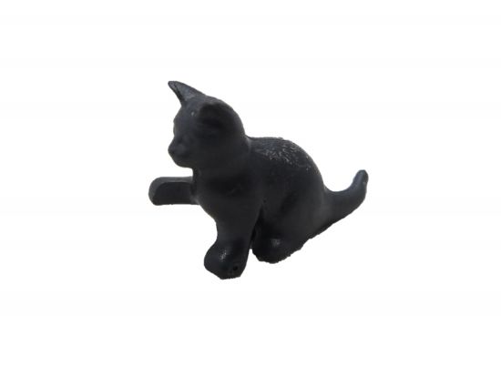 Katzenjunge Katzenjunge