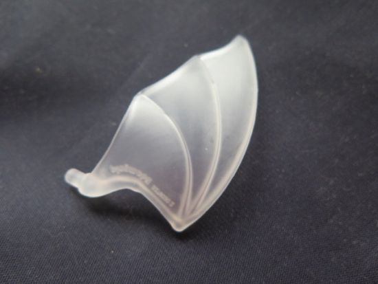 Flügel Drache links Flügel Drache links