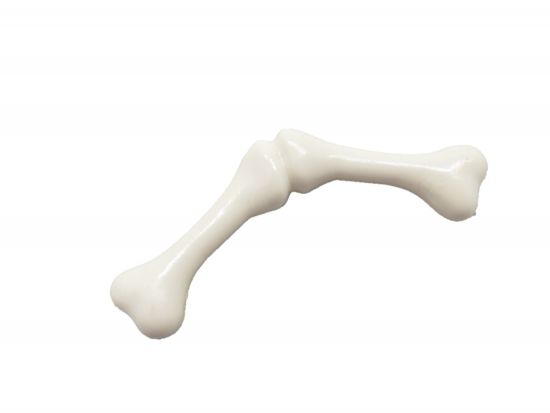 Knochen Skelett Knochen Skelett